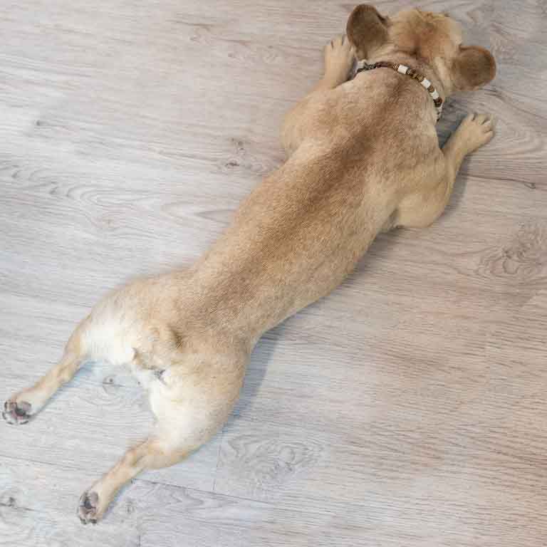 Rückenbalance