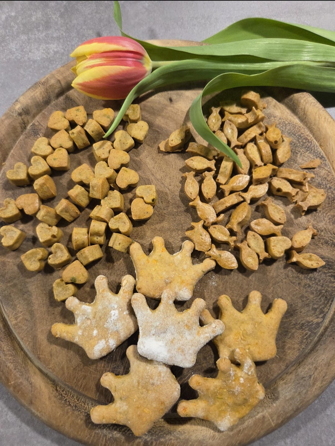 Gesundes Hundefutter im Napf